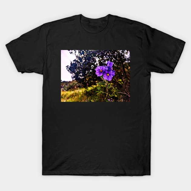 Purple flowers T-Shirt by RobertsArt